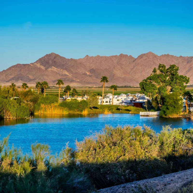 The Colorado River near Yuma