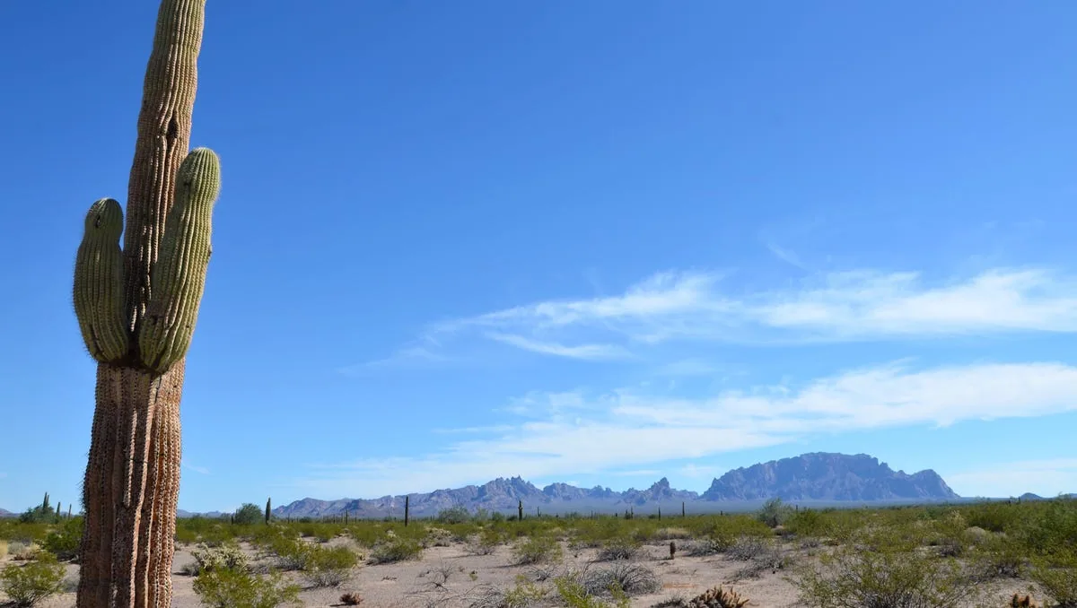 Yuma Palms and the I-8 Retail Corridor