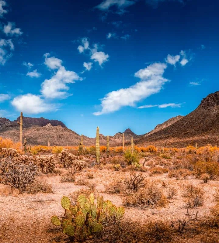 Rancho Mesa Verde